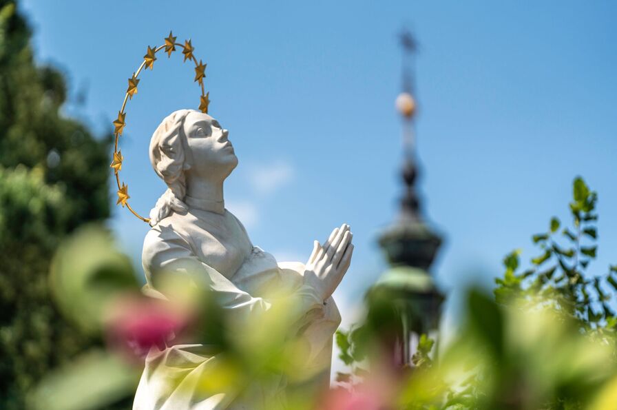 15 August 2026: Solemnity of the Assumption of the Blessed Virgin Mary