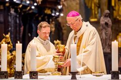 Priestly ordination and first Mass